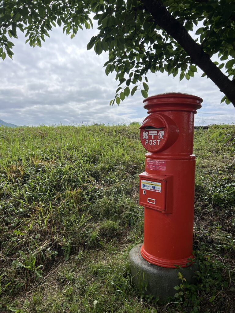 朝倉市って美しい物で溢れてる